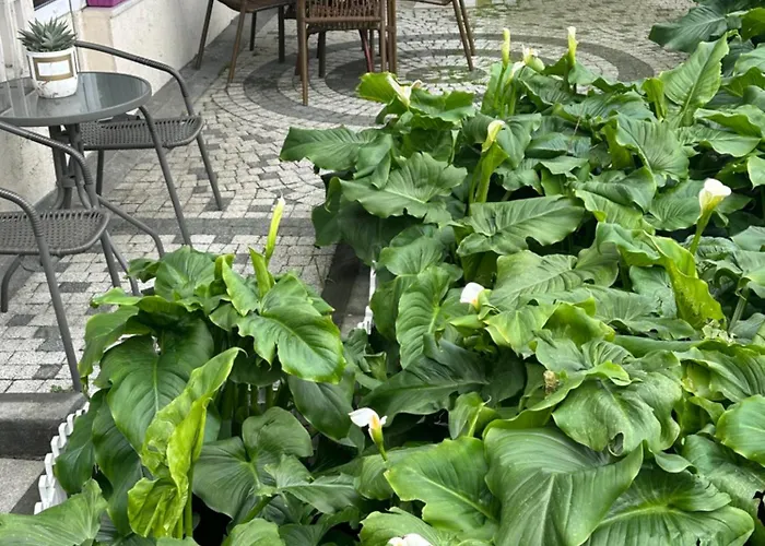 Sea View House اسطنبول